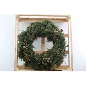 Wr Christmas Mix Nuts 60cm