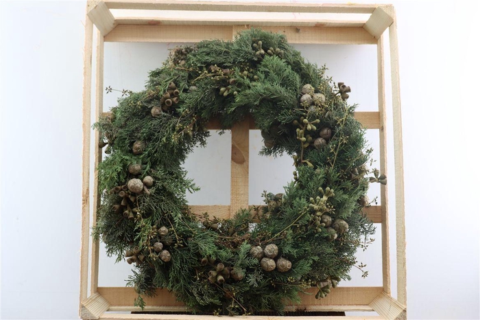 <h4>Wr Christmas Mix Nuts 60cm</h4>