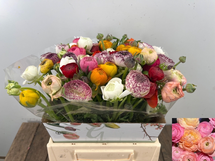 <h4>RAN GEM IN BOS</h4>