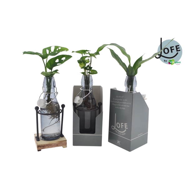 <h4>LOFE | Mix in Ann getint glas + metalen houder LED + verpakking</h4>
