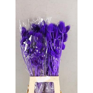 Df Dipsacus Milka Bs 130g