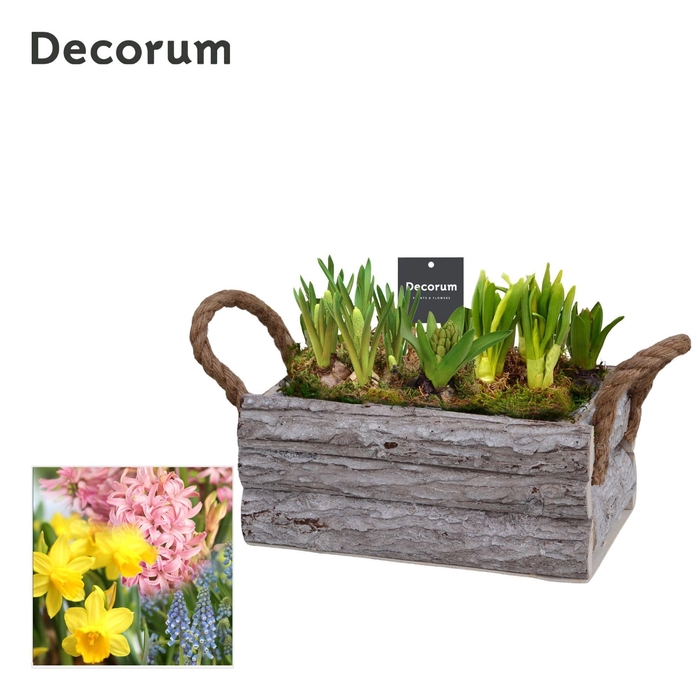 <h4>Bollenmix Twigs Box HL15793B</h4>