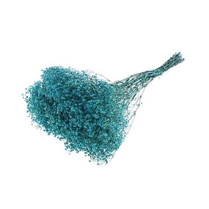 Bunch Gypsophila Pres. 240gr L70