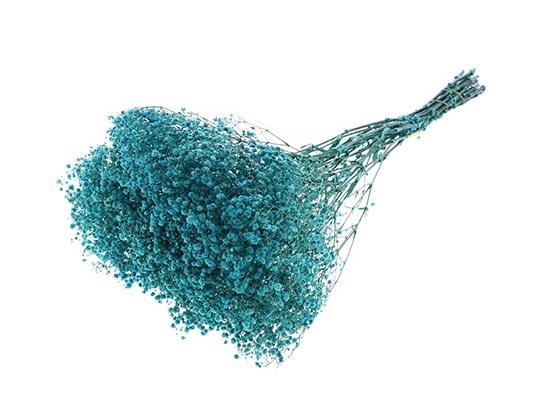 Bunch Gypsophila Pres. 240gr L70