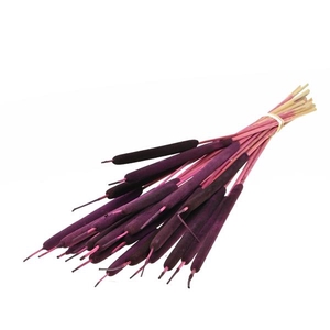 Typha Small 25pc Prune