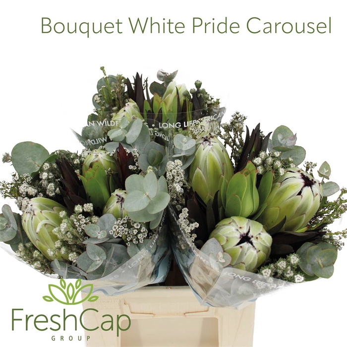 <h4>Bouquet White Pride Carousel</h4>