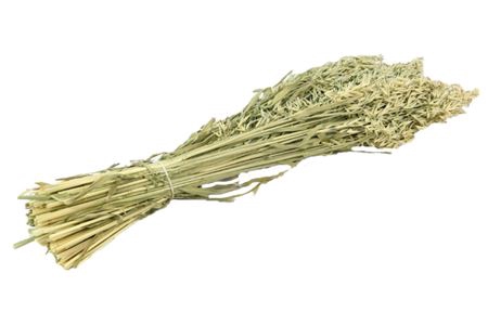 <h4>Bunch Avena Slv 200g L60</h4>