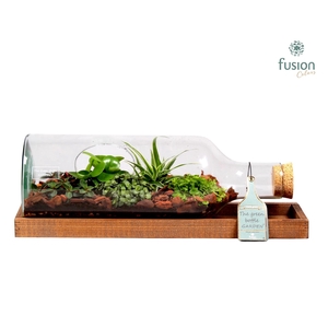 Green Bottle fles liggend medium met groene planten