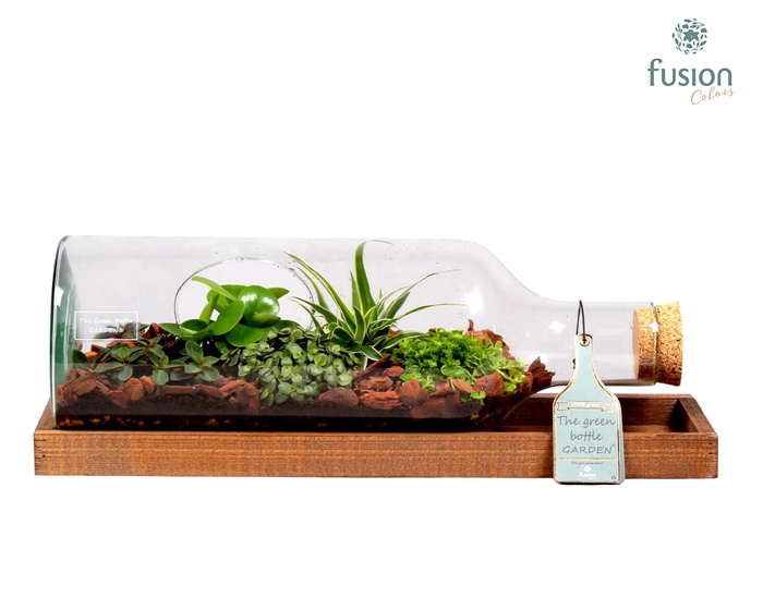 <h4>Green Bottle fles liggend medium met groene planten</h4>