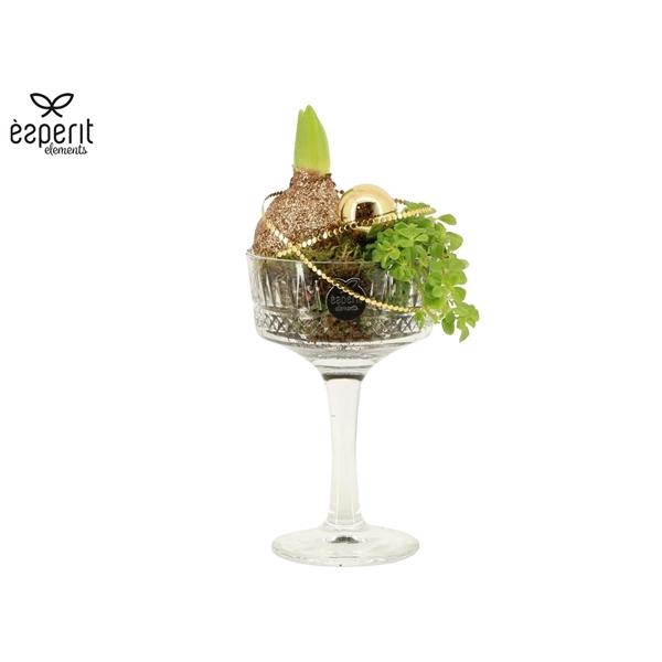 <h4>Arrangementen Kerst 6%</h4>