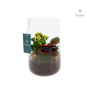 Green Bottle Deline Large Grootmoederdag met Arrangement