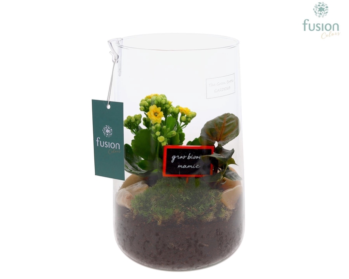 <h4>Green Bottle Deline Large Grootmoederdag met Arrangement</h4>