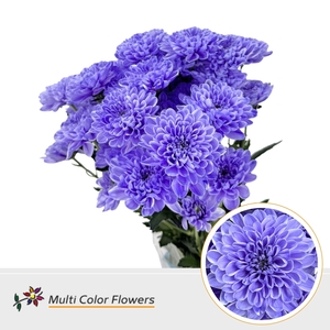Chr T Altaj Milka