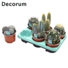 Cactus Mix (6spc.) (decorum)