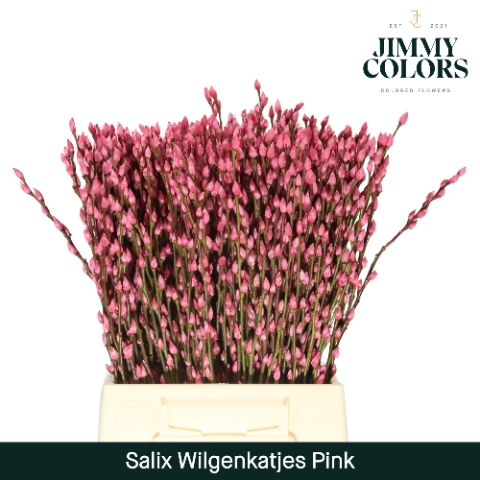 <h4>Salix Katjes L50 Klbh. Roze</h4>