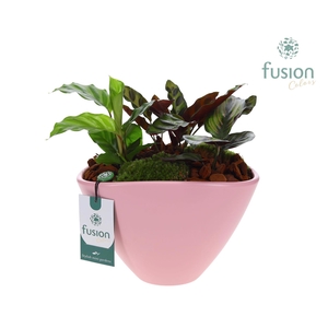 Pot keramiek ovaal Large met arrangement