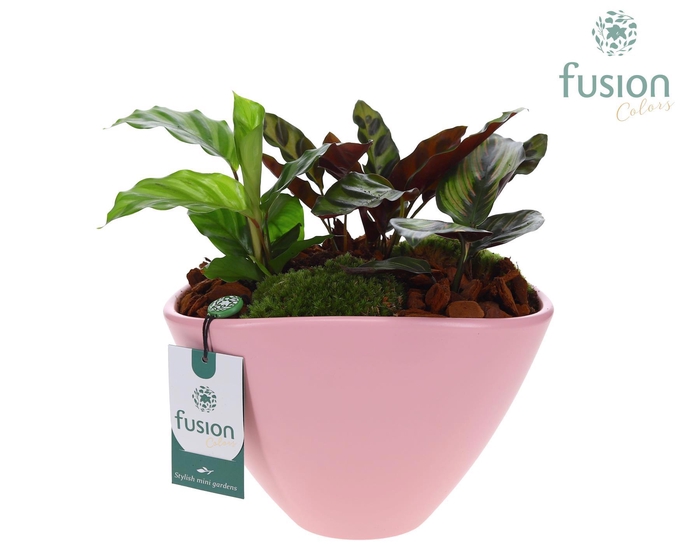 <h4>Pot keramiek ovaal Large met arrangement</h4>