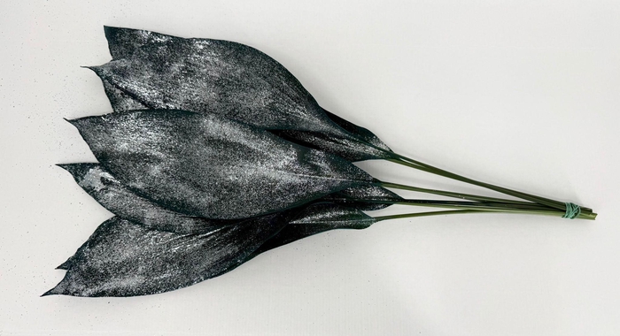 <h4>Aspidistra Painted Blu Glitter Silver</h4>