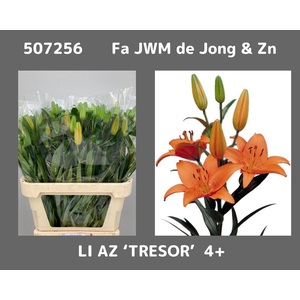 LI AS TRESOR chambre