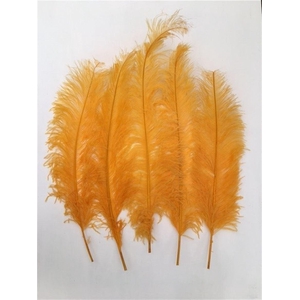 Feather Ostrich Feathers 55cm 5 Pcs Yellow
