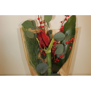 Boeket Amaryllis Klein (ilex)