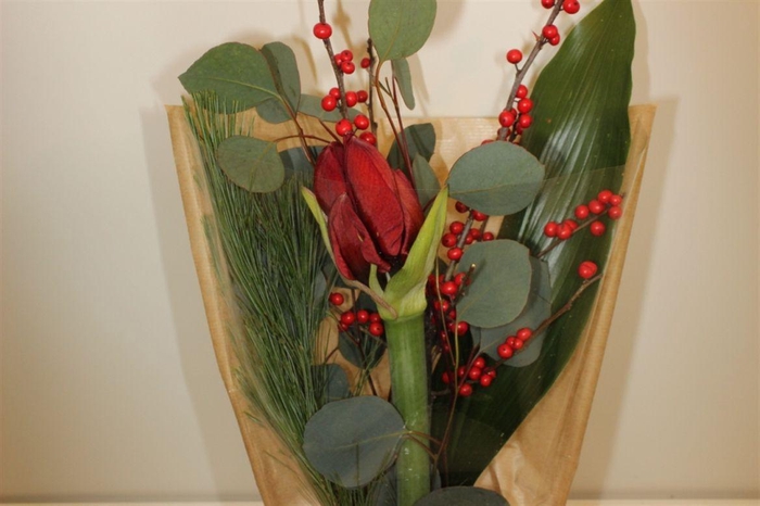 <h4>Boeket Amaryllis Klein (ilex)</h4>