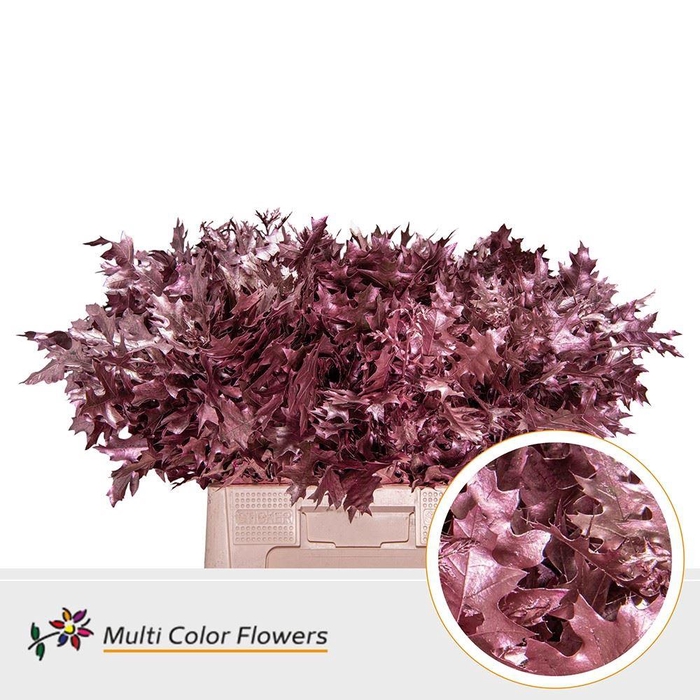 <h4>Quercus palustris ..colored H%</h4>