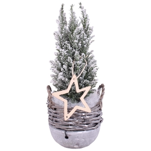 Opm Christmas Arr. Conifer Willow Basket Ceramic B