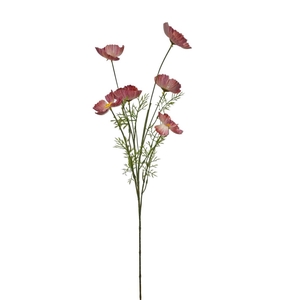 AF Papaver spr x6 L101cm d.pi