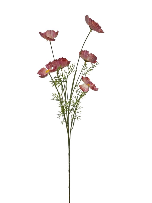 <h4>AF Papaver spr x6 L101cm d.pi</h4>