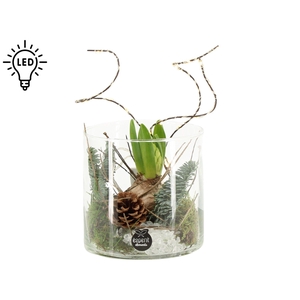 61695: X-mas arrangement