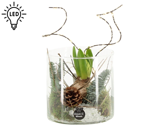 <h4>61695: X-mas arrangement</h4>