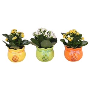 Easter Arr. Indoor Ceramic Colorful Egg Bag Mix Ø10cm 1PP