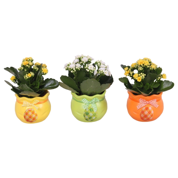 <h4>Easter Arr. Indoor Ceramic Colorful Egg Bag Mix Ø10cm 1PP</h4>