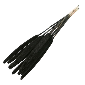 Droogbloem Bapala 65cm x10