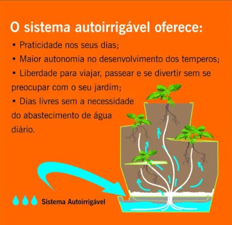 JARDIM DE TEMPEROS VIDA GRAFITE JVIDAG