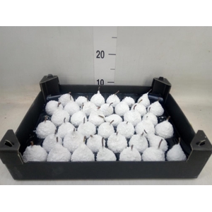 Decoratieve materialen   ...H%