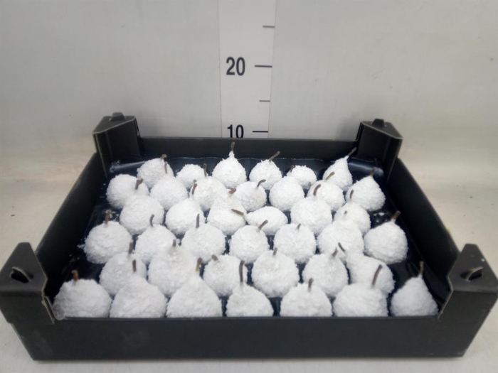 <h4>Decoratieve materialen   ...H%</h4>