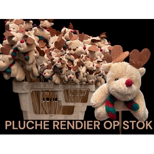 HUIS EN TUINDECO H%