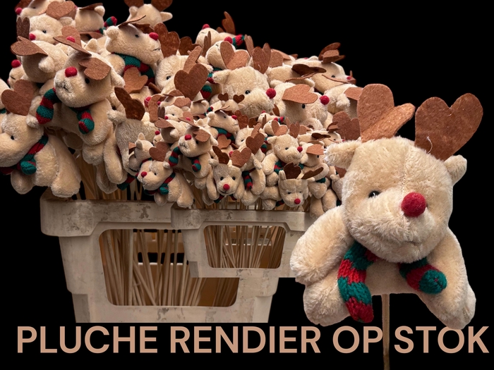 <h4>HUIS EN TUINDECO H%</h4>