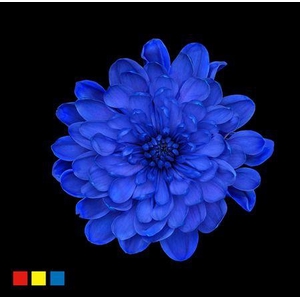 Chr T Altaj Blue