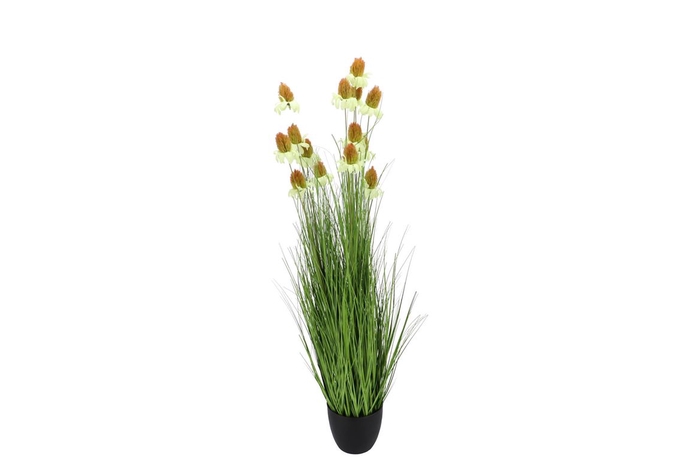 <h4>Silk Cosmos Grass Green 120cm</h4>