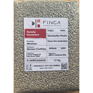 Green Coffee Pacamara Washed - Bags x12 Kg