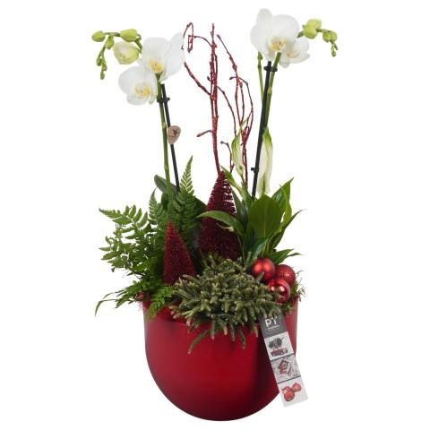 <h4>PTCHR7239 Arrangementen Kerst</h4>