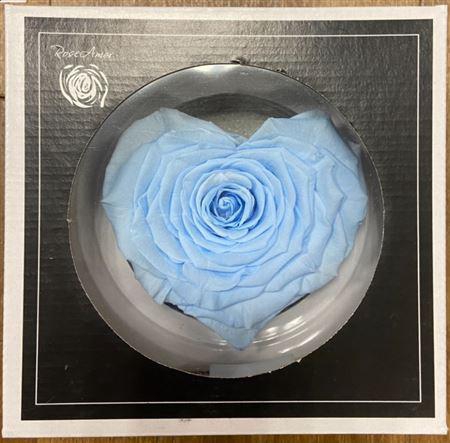 <h4>Pr 1.1 Corazon Blu089</h4>