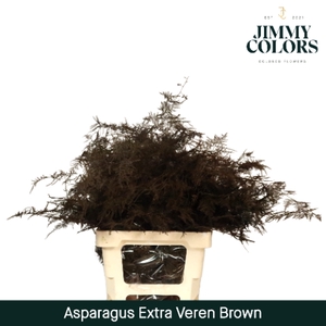 Asp extra veren Brown