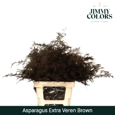 <h4>Asp extra veren Brown</h4>