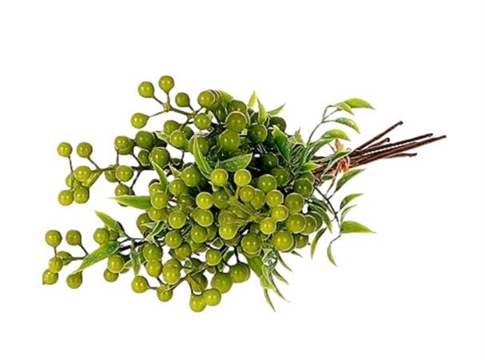 <h4>Deco Stem Caper Berry Green 6pcs L35</h4>