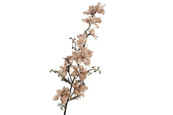 Delphinium Beige FL440208BGE