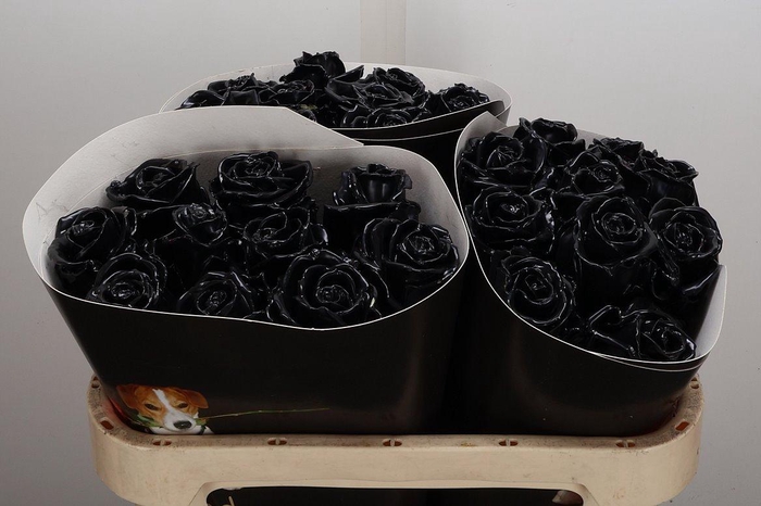 <h4>Wax-Rozen Wax Zwart w20</h4>